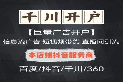 SEM主管实战：案例分析与优化策略