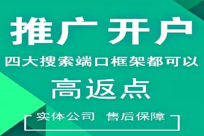 百度竞价排名：实战案例告诉你如何实现精准推广