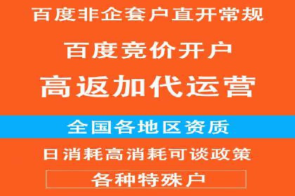 百度推广排名案例报告：某行业巨头如何运用其占领市场高地
